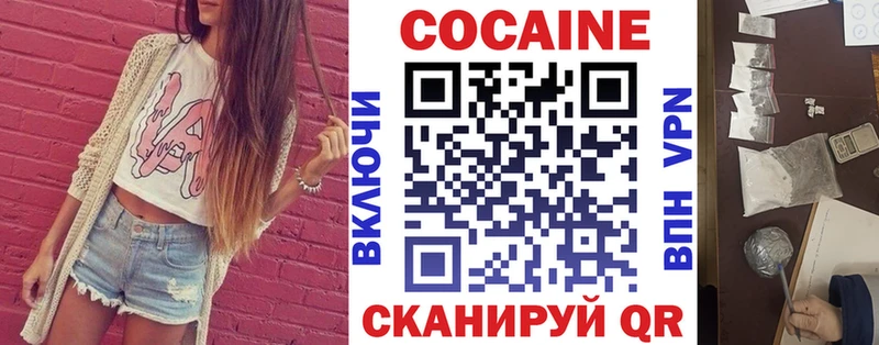 дарнет шоп  Терек  кракен ТОР  Кокаин Боливия 