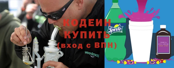 первитин Бикин