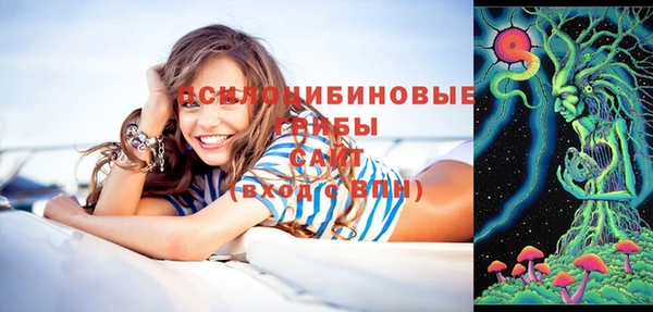 ГАЛЛЮЦИНОГЕННЫЕ ГРИБЫ Нефтегорск